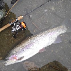 天竜川ルアーフライ専用区